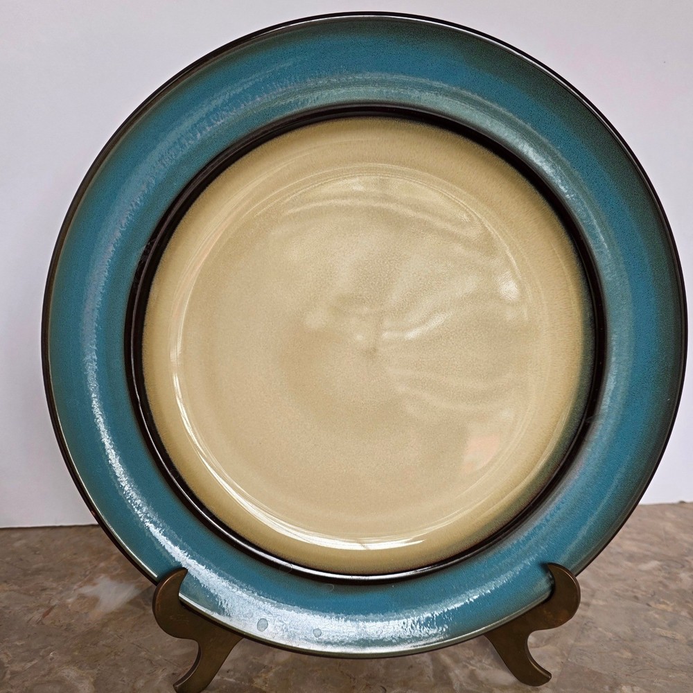 Pier 1 Imports Teal Reactive Stoneware Dinner Plate Dishwasher Microwave Safe