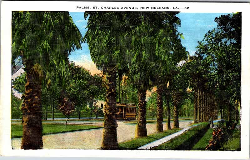 Postcard ROAD SCENE New Orleans Louisiana LA m/09 AK0890