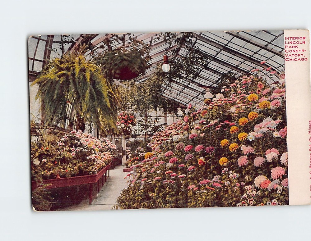 Postcard Interior Lincoln Park Conservatory Chicago Illinois