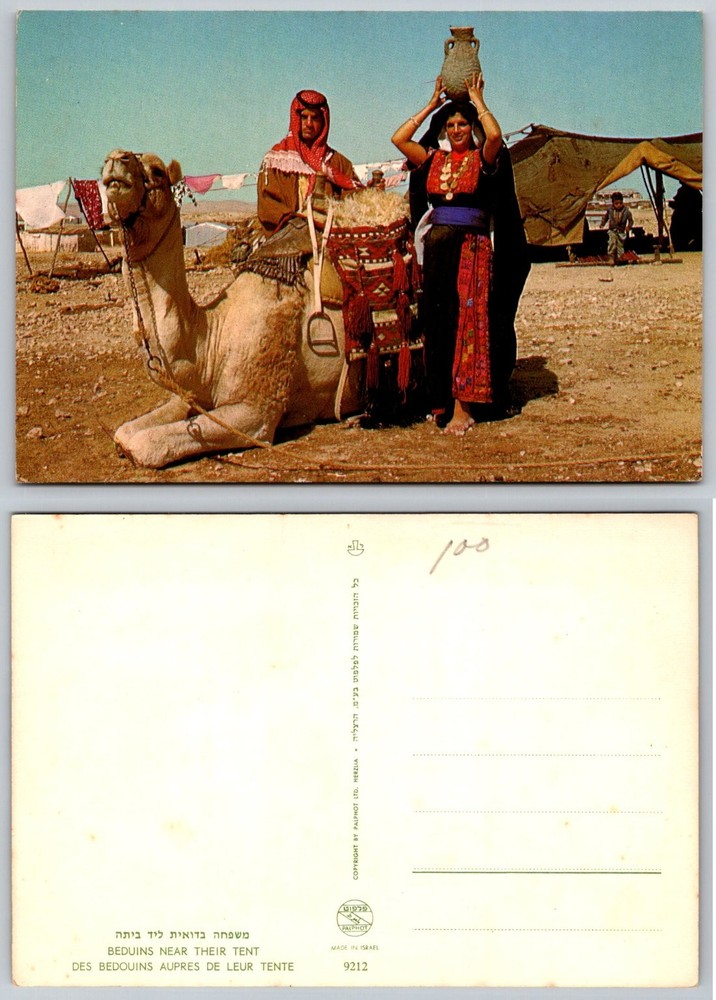 Vintage Bedouin Family Camel Tent Israel Palphot Postcard Desert Life Culture
