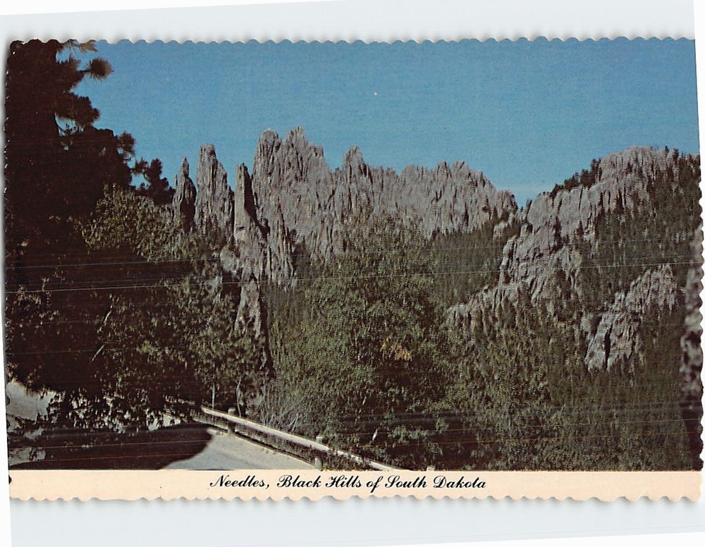 Postcard Needles Black Hills of South Dakota USA