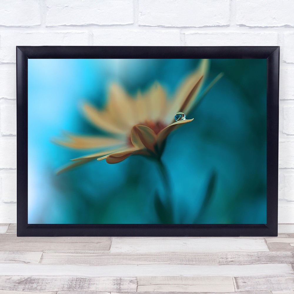 Memories of Sea Flower l Drop Drops Droplet Soft Delicate Wall Art Print
