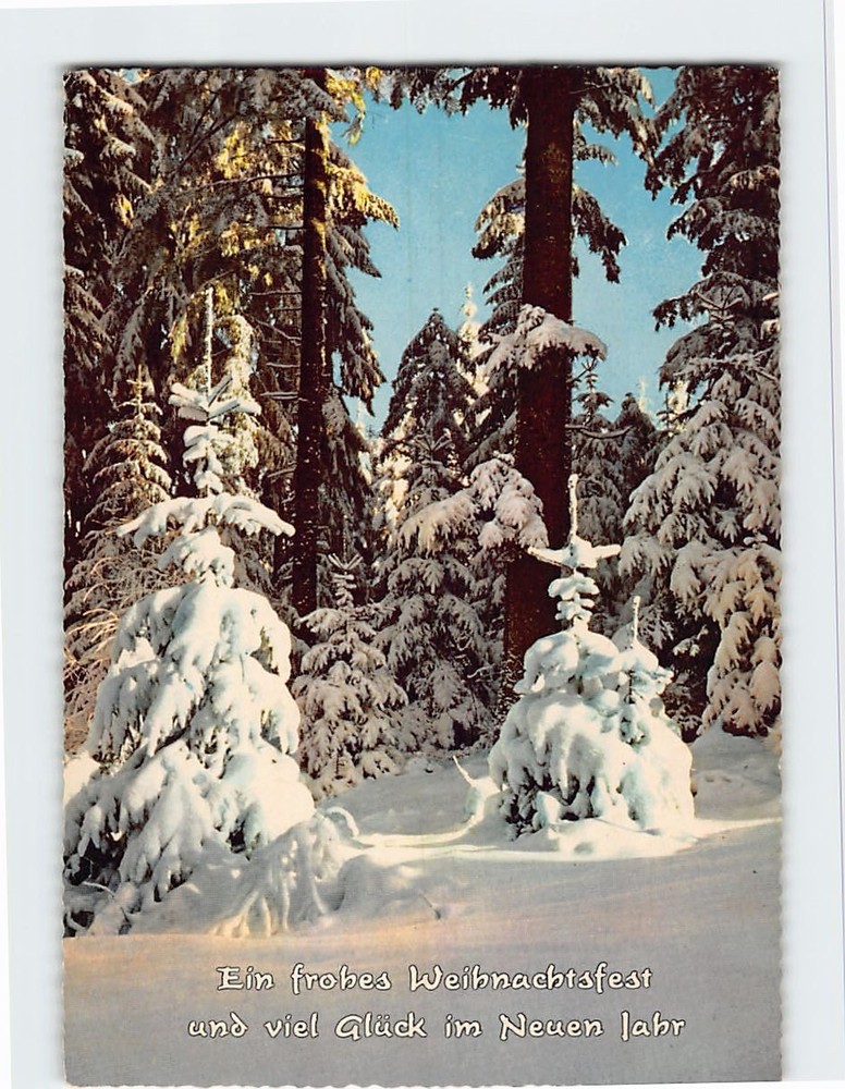 Postcard Ein frohes Weihnachtsfest und viel Glück im Neuen Jahr w/ Snow Scenery