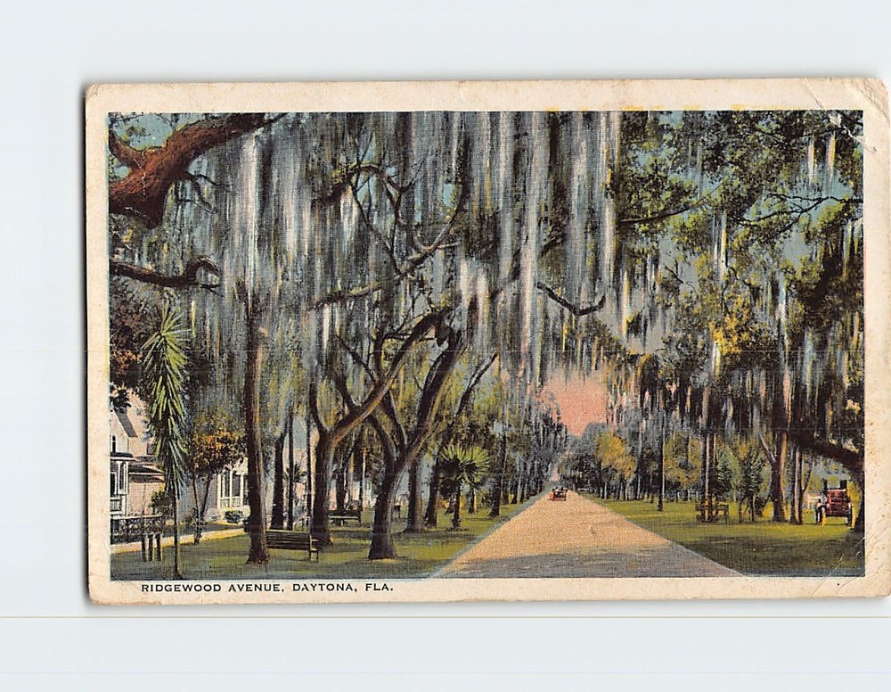 Postcard Ridgewood Avenue Daytona Florida USA