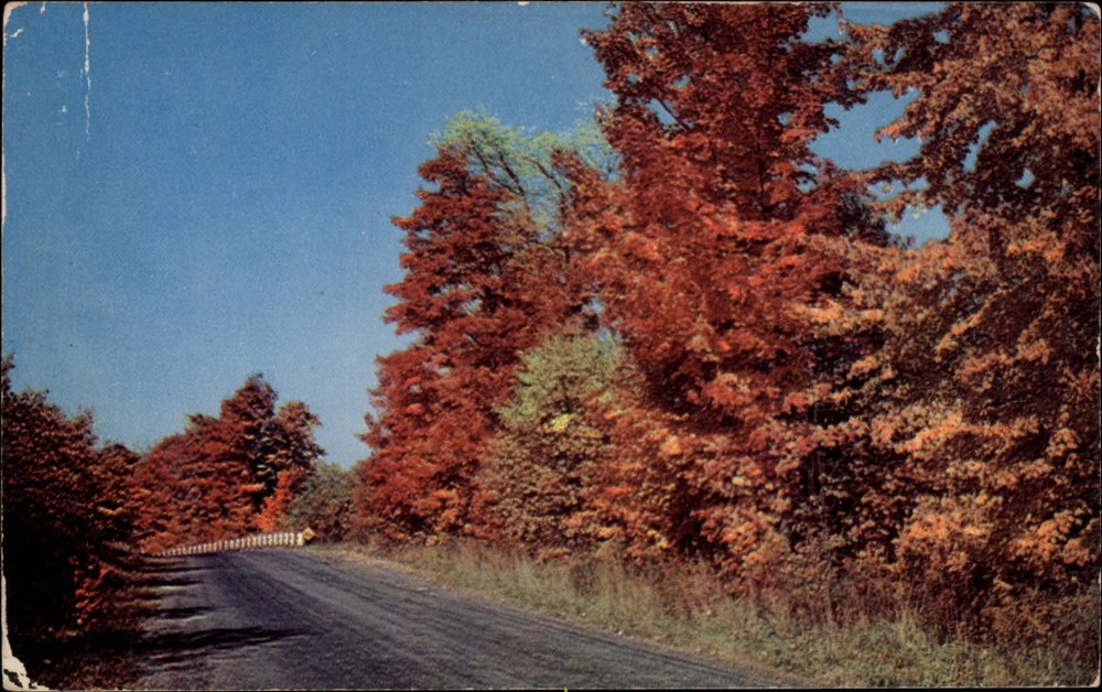 Michigan Houghton Lake Greetings autumn colors ~ 1950s-60s postcard sku037