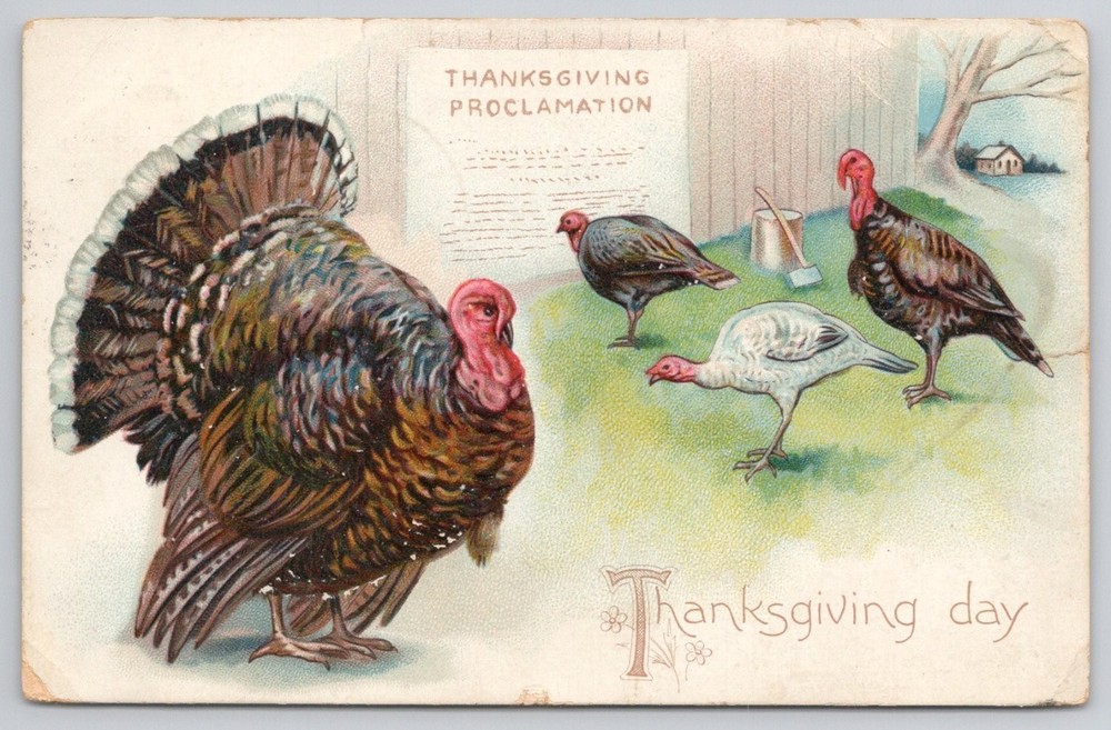 1908 Tuck's Thanksgiving Proclamation Turkeys Postcard Mystic CT Postmark