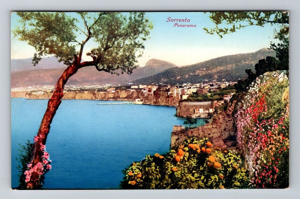 Italy- Sorrento Panorama City View Bay Of Naples Souvenir Old Vintage Postcard