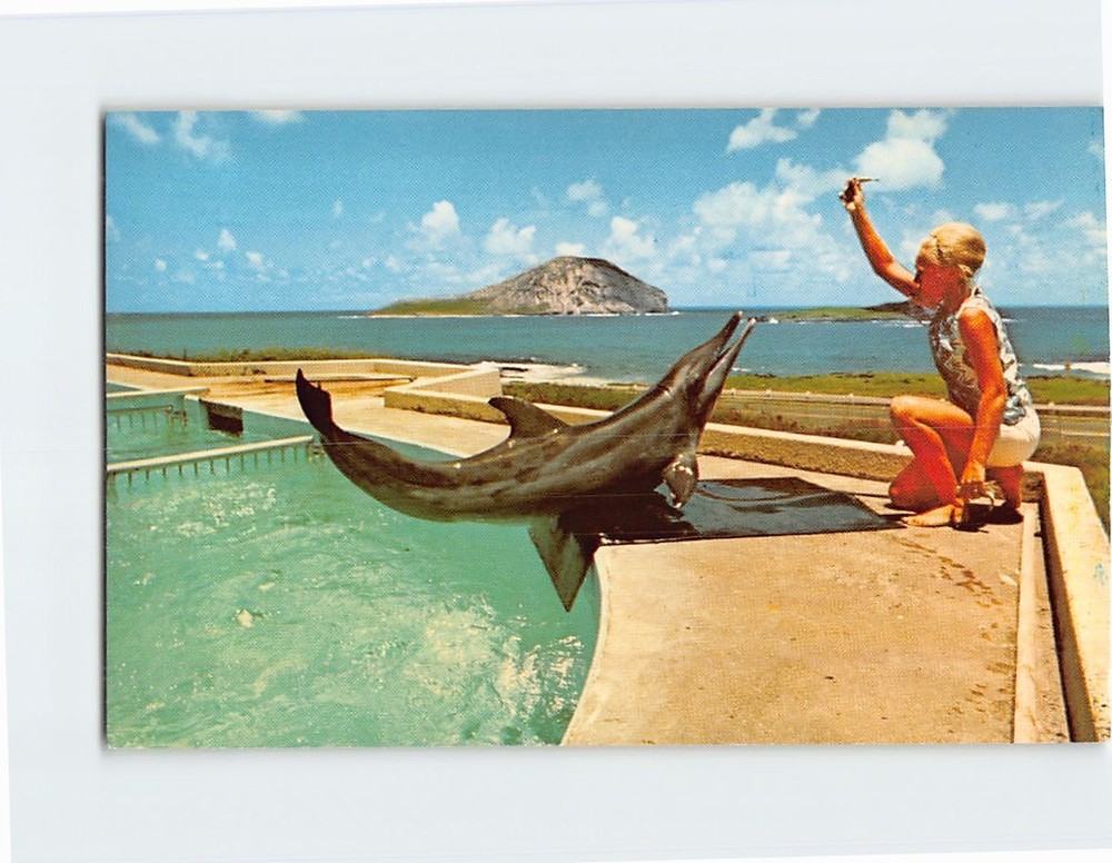 Postcard Porpoise Keiki Sea Life Park Hawaii USA