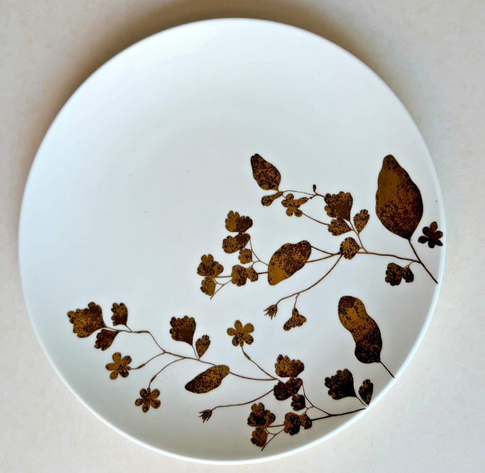 Vera Wang Wedgwood Vera Jardin Salad Plate 8 Inch