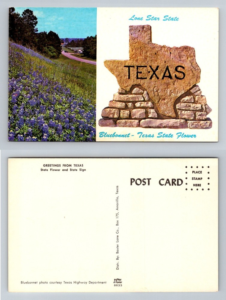 Amarillo, TX-Texas, Bluebonnet State Flower and Texas Sign Vintage Postcard