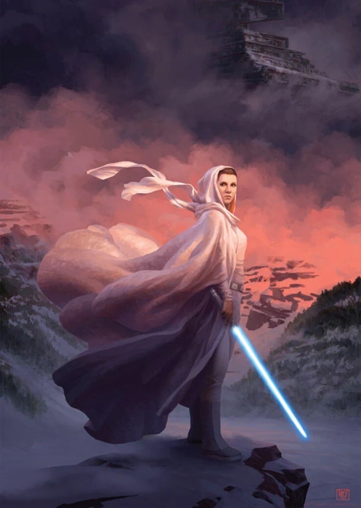 Star Wars Limited Edition Princess Leia Organa Official Art Print