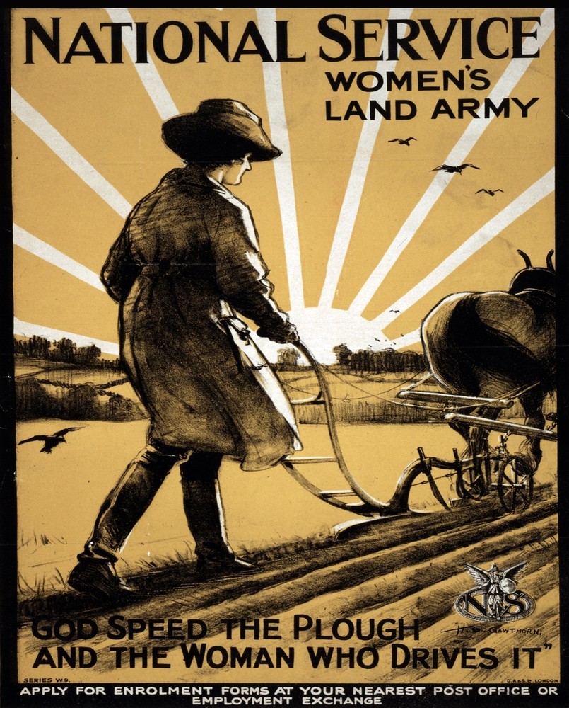 National Service Decorative Poster. Fine Graphic Art. Wall Interior Design. 2176