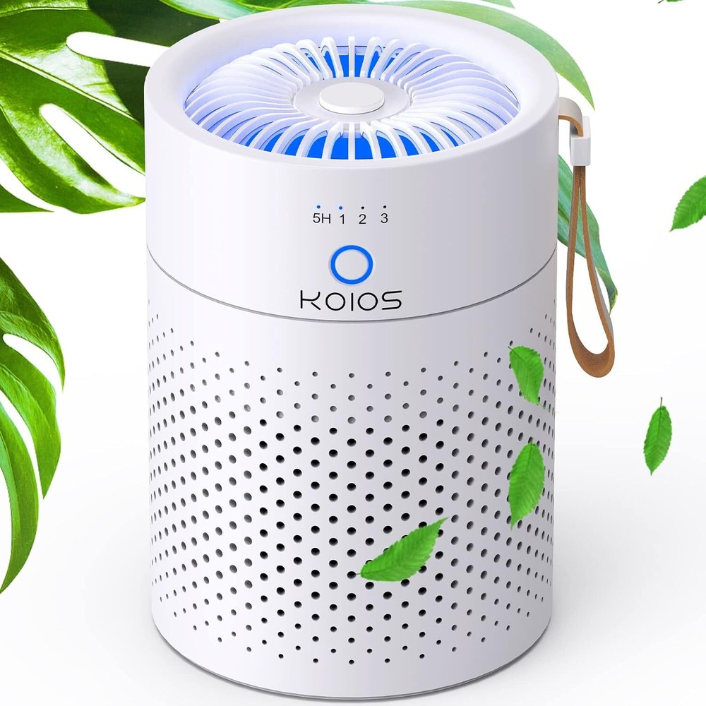 H13 True HEPA Filter Air Purifiers for Des... Air Purifiers for Bedroom Home