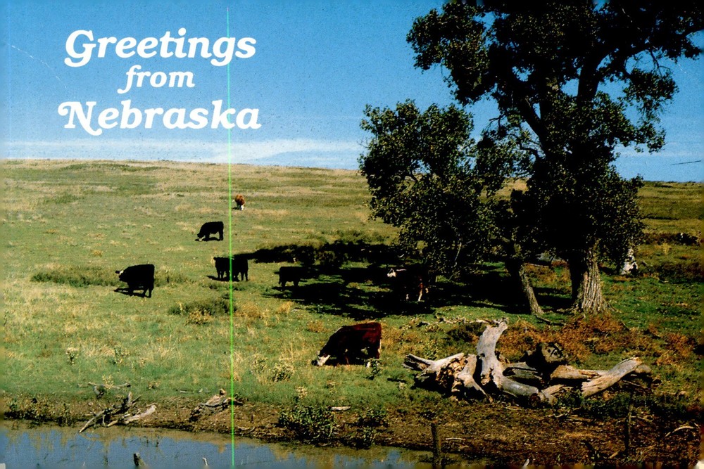 Nebraska, vintage, postcard, Rick Metzger, Dunlap Post Card Co, Mike Postcard