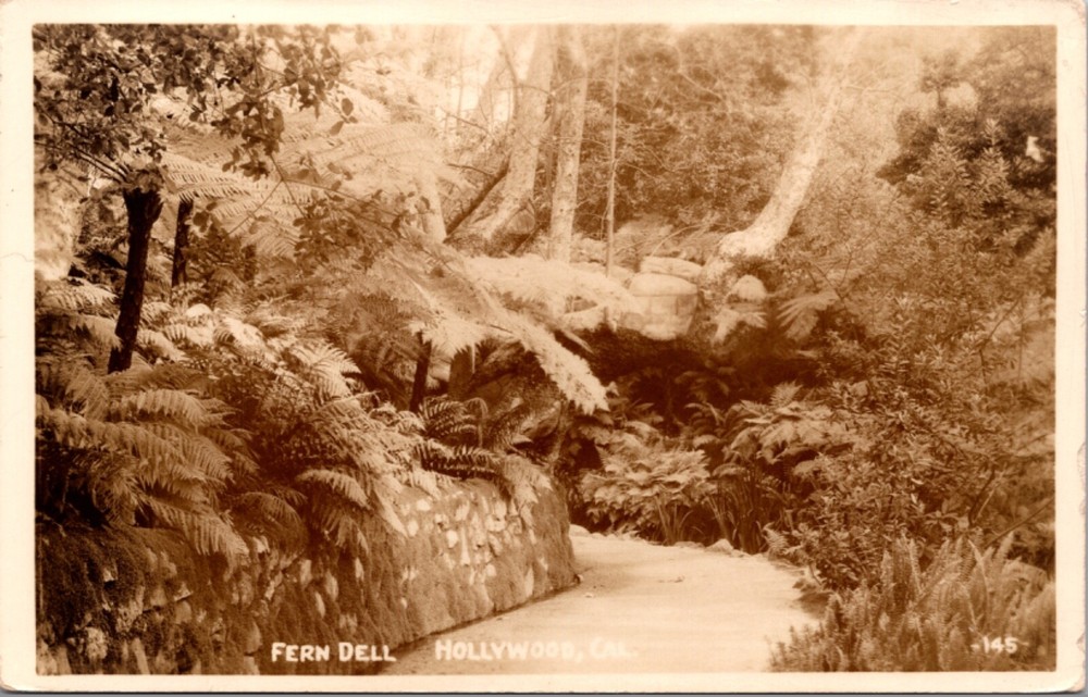 Real Photo Postcard Fern Dell in Hollywood, California