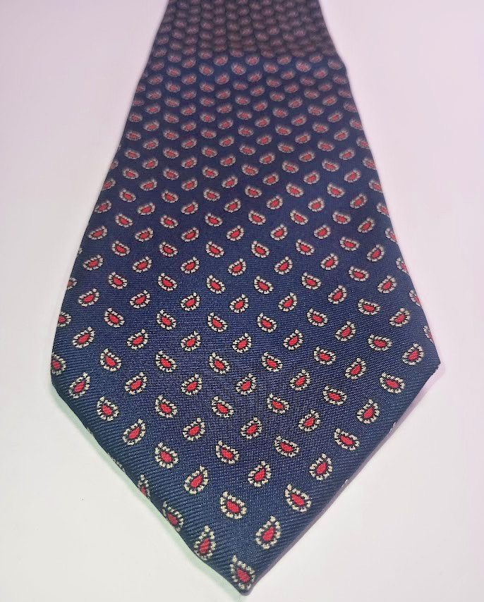 Adams Row Blue Red Paisley Handmade Italian Silk Tie 55