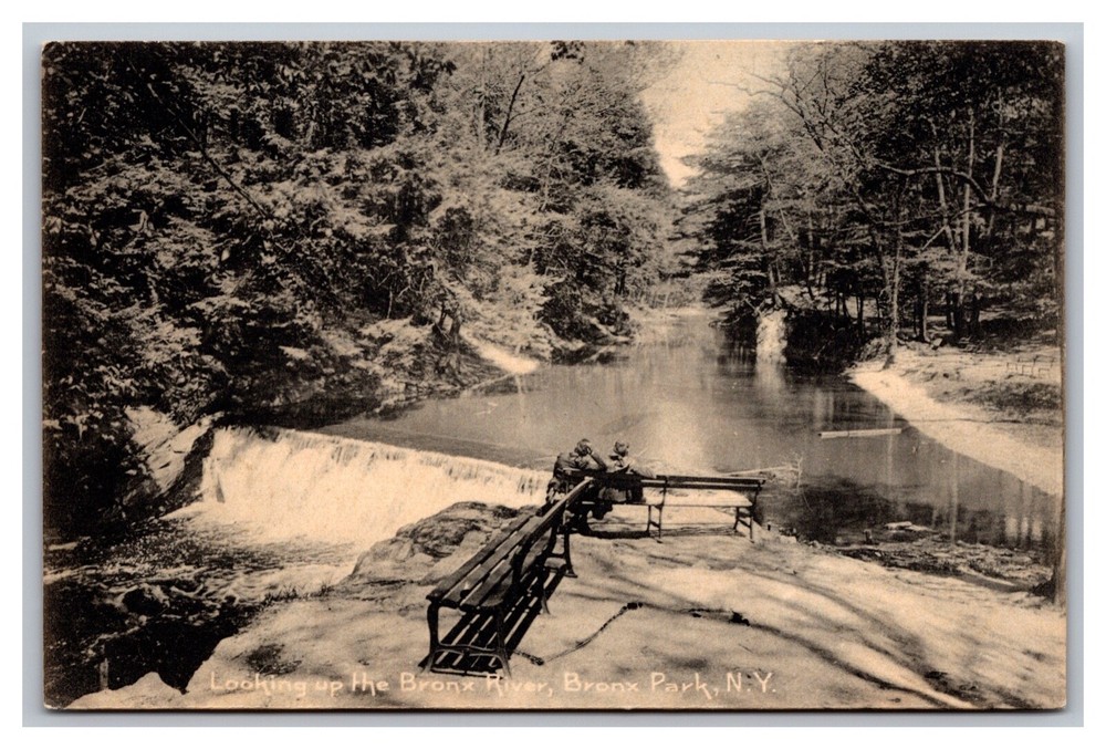 New York City, NY, Looking Up the Bronx River, Divided Back, Rotograph Postcard