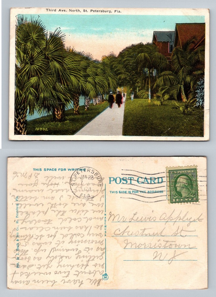 St Petersburg, FL-Florida, Palm Lined Third Avenue North Vintage c1924 Postcard