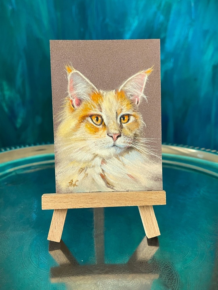 Maine Coon red cat pastel drawing ACEO original art by artist