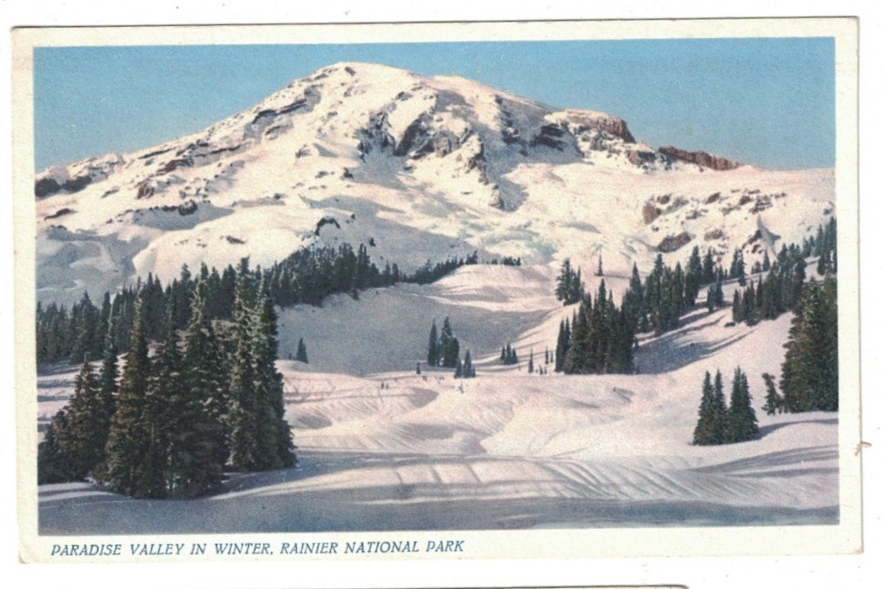 1933 Paradise Valley In Winter Rainier National Park Washington State Postcard