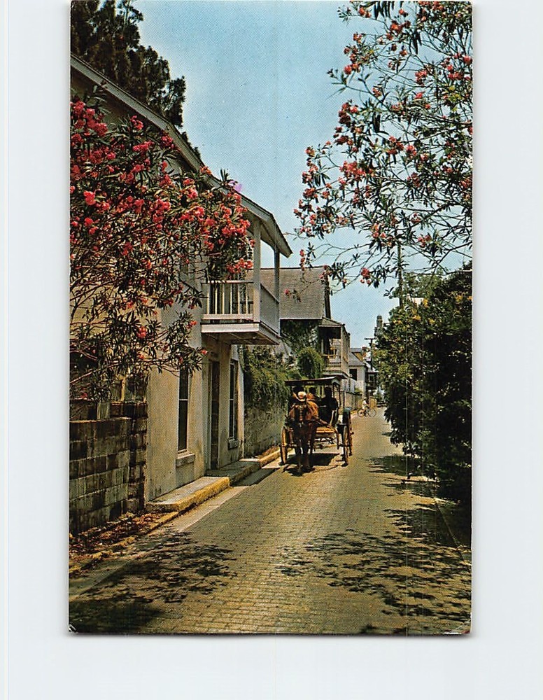 Postcard Aviles Street with Horse Drawn Carriage St. Augustine Florida USA