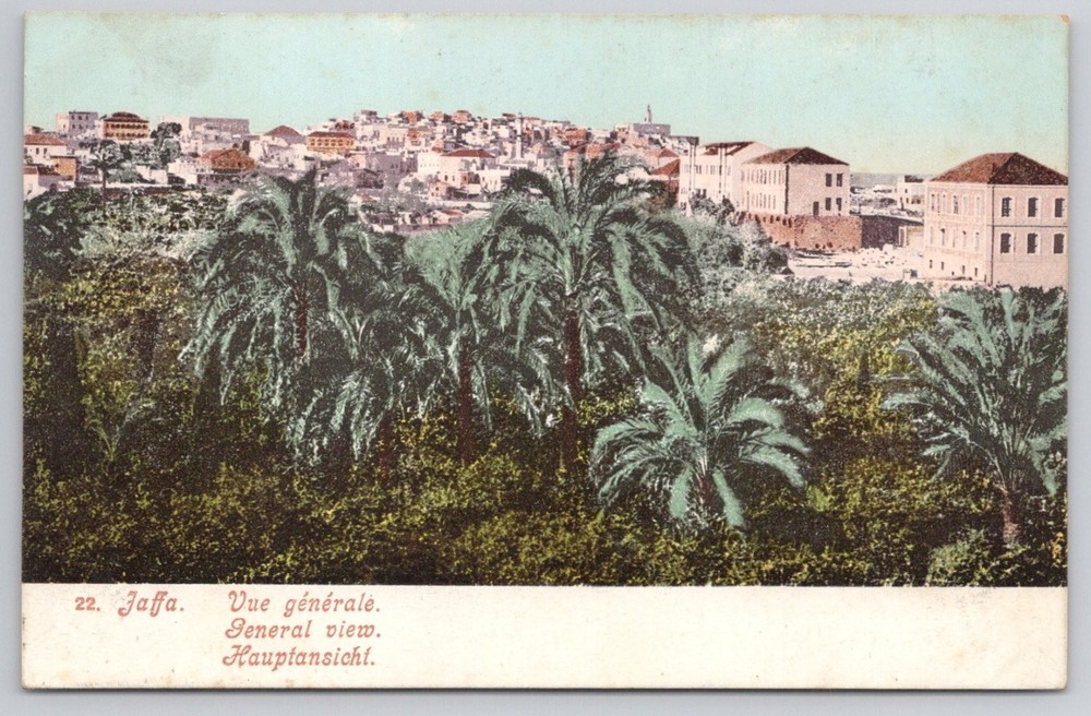Vintage Jaffa Palestine General View Palm Trees Postcard c1910s ATF