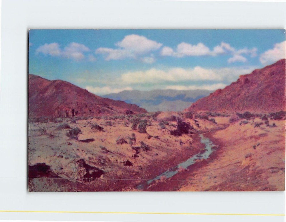 Postcard Small Mountain Stream Flowing Through Desert Valley in Nevada USA