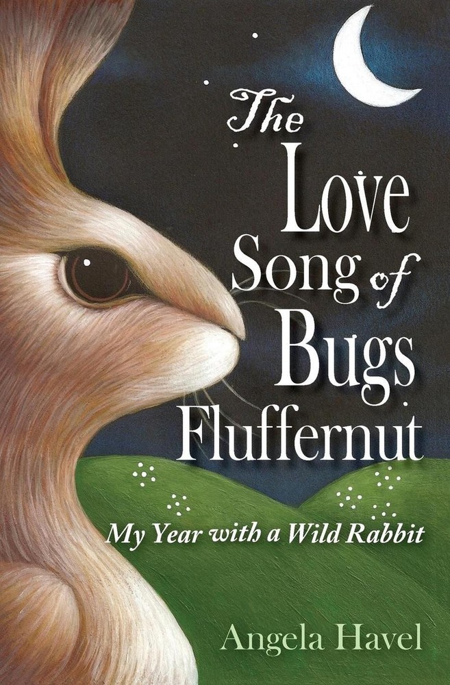 The Love Song of Bugs Fluffernut by Angela Havel (English) Paperback Book