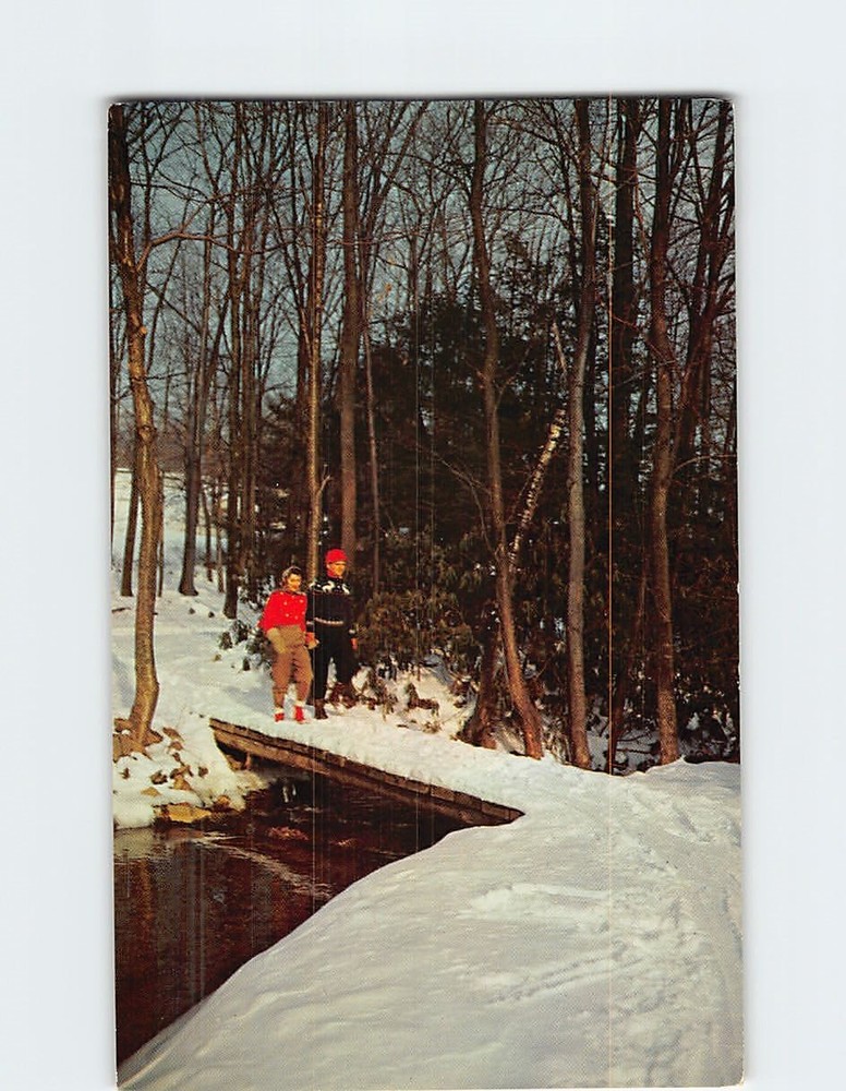 Postcard Hiking on One of the Many Paths at Buck Hills Falls Pennsylvania USA