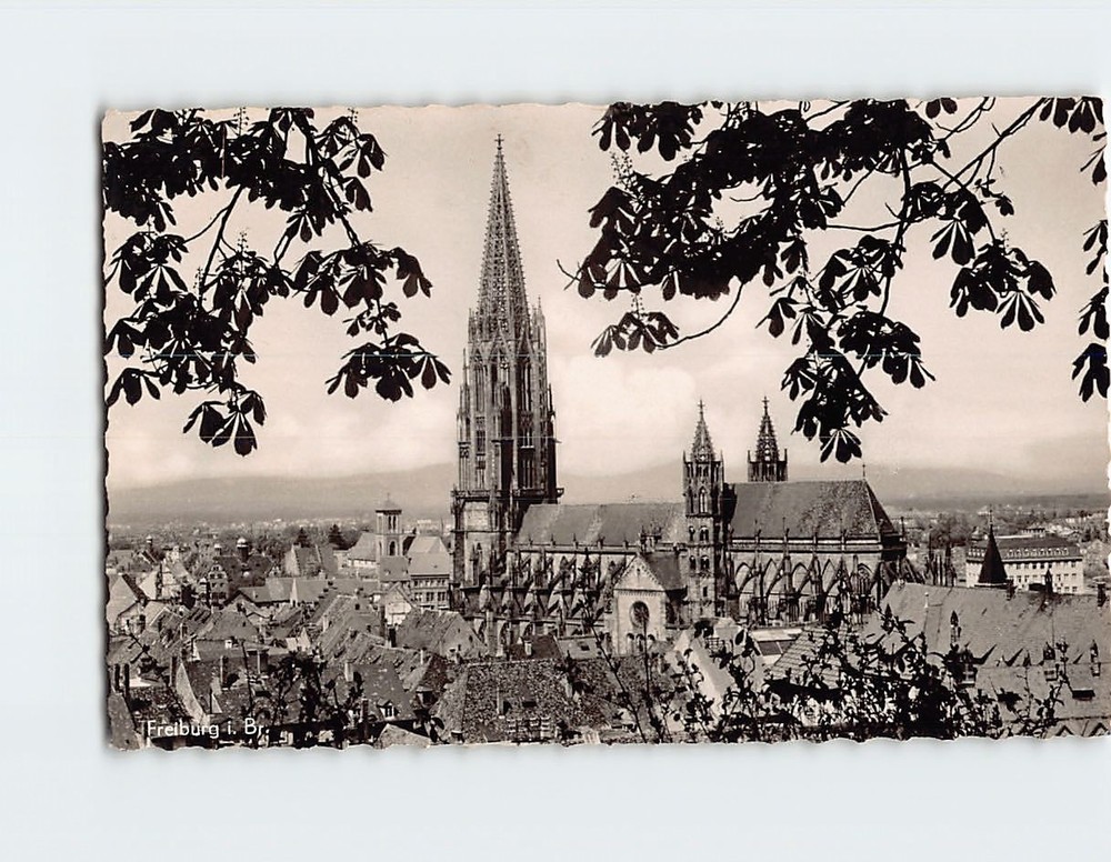 Postcard Freiburg Germany