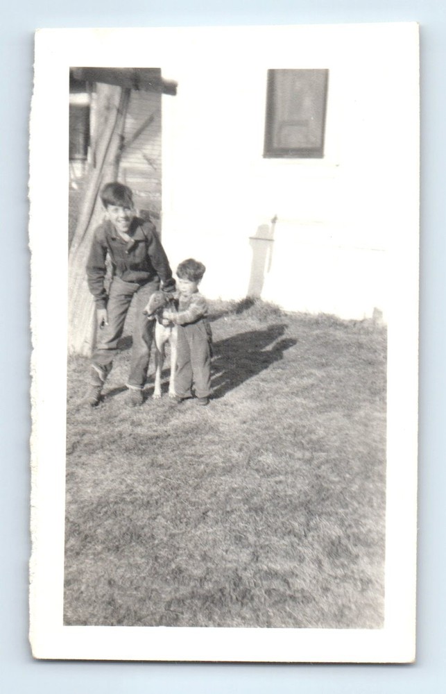 Old Vintage Photo PAIR OF BOYS WITH DOG IN YARD OUTSIDE HOUSE SNAPSHOT