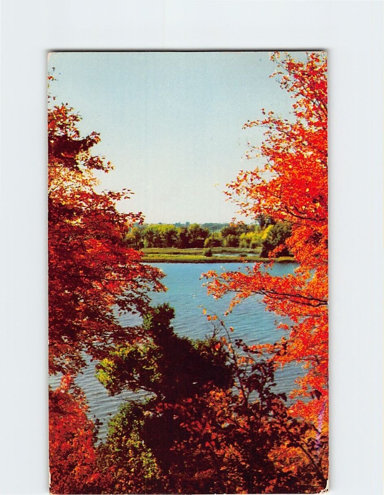 Postcard Autumn Scenery Greetings From Carbondale Illinois