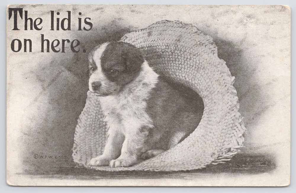 Animal~Puppy In Straw Hat The Lid Is On Here B&W~Vintage Postcard