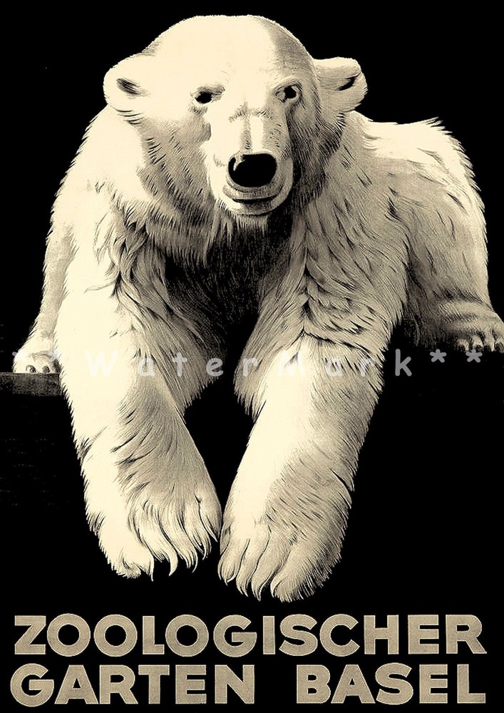 Zoo Basel Switzerland 1920 Polar Bear Vintage Poster Print Art Retro Travel