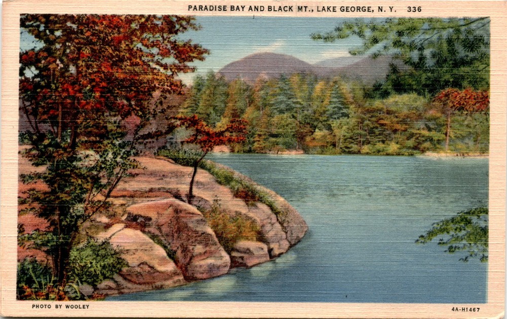 PARADISE BAY, BLACK MT., LAKE GEORGE, N. Y., W Postcard