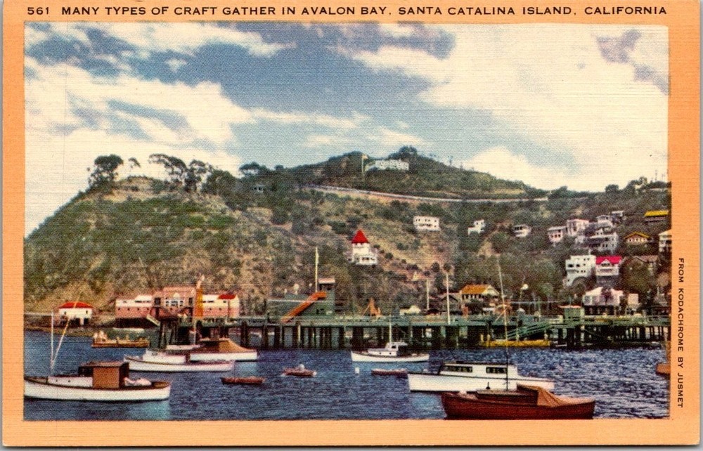 Avalon Bay Catalina Island California Boats Pier Vintage Postcard