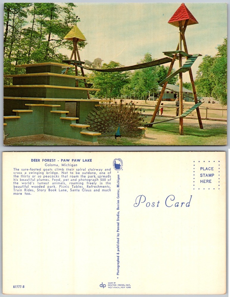 Deer Forest Paw Paw Lake Coloma MI Postcard