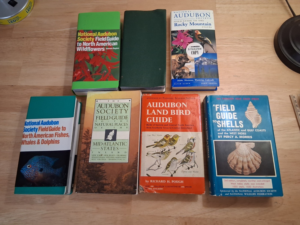 old Audubon field guides shells, birds, fish, etc..