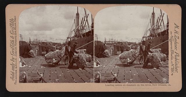 Photo:Loading cotton steamers on the levee, New Orleans, La.