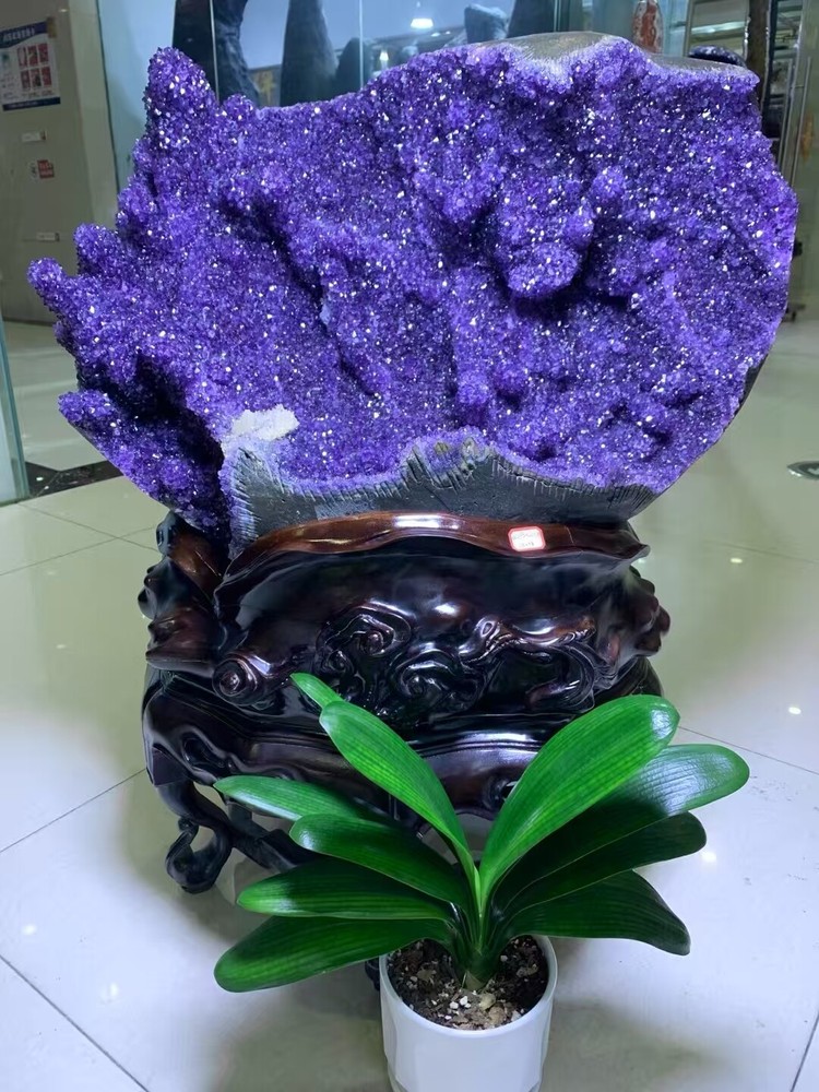 297LB TOP Natural Amethyst Flowers Quartz Crystal Specimen Reiki Decor + stand
