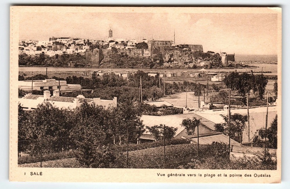 Vintage Salé Morocco Postcard Lithograph Vue Générale 1943