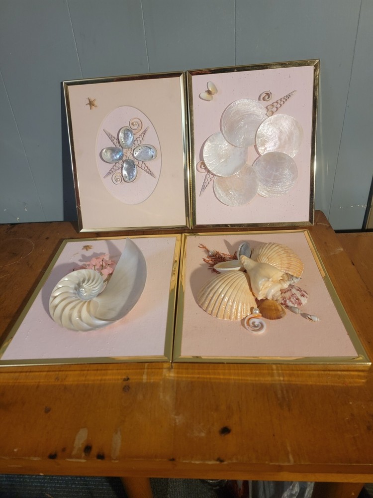 4Framed 3d Seashell Wall Art 6