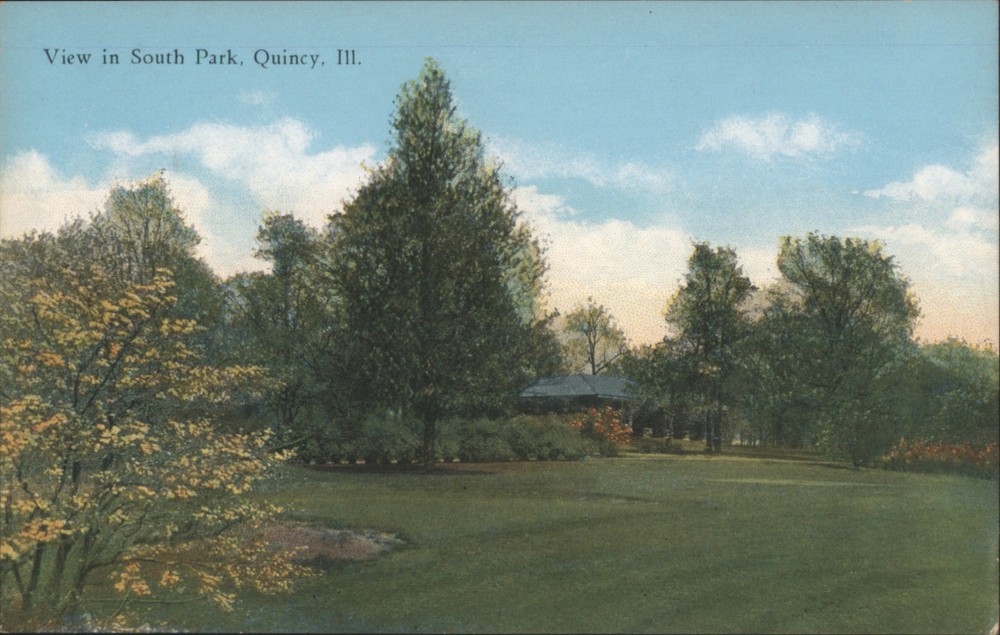 Quincy, Illinois IL View South Park Original Vintage Postcard
