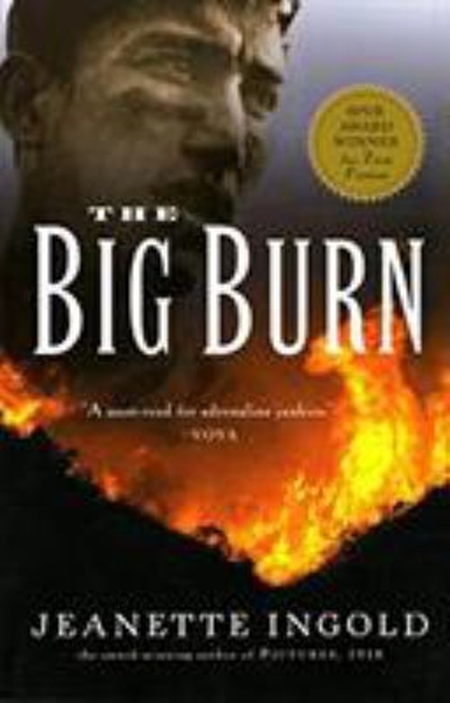 The Big Burn Paperback Jeanette IngoldFree US Delivery | ISBN:015204924X