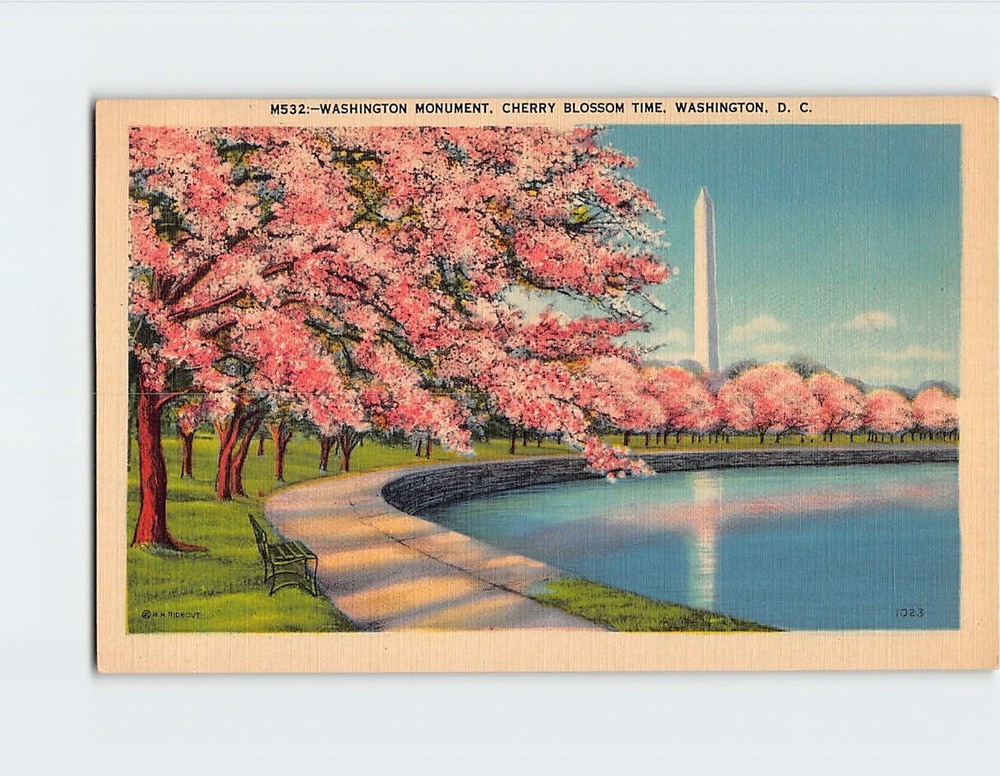 Postcard Washington Monument Cherry Blossom Time Washington DC