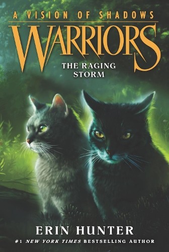 Erin Hunter Warriors: A Vision of Shadows #6: The Raging Storm (Paperback)Another great item from Rarewaves USA | Free delivery!