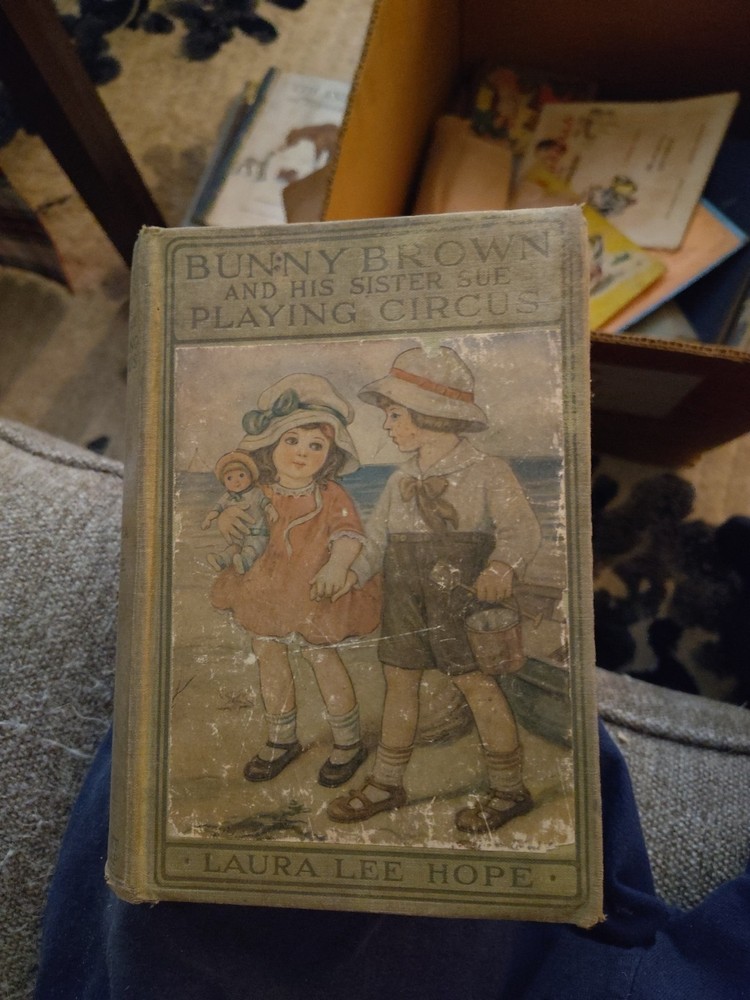 Bunny Brown and His Sister Sue Playing Circus by Laura Lee Hope.