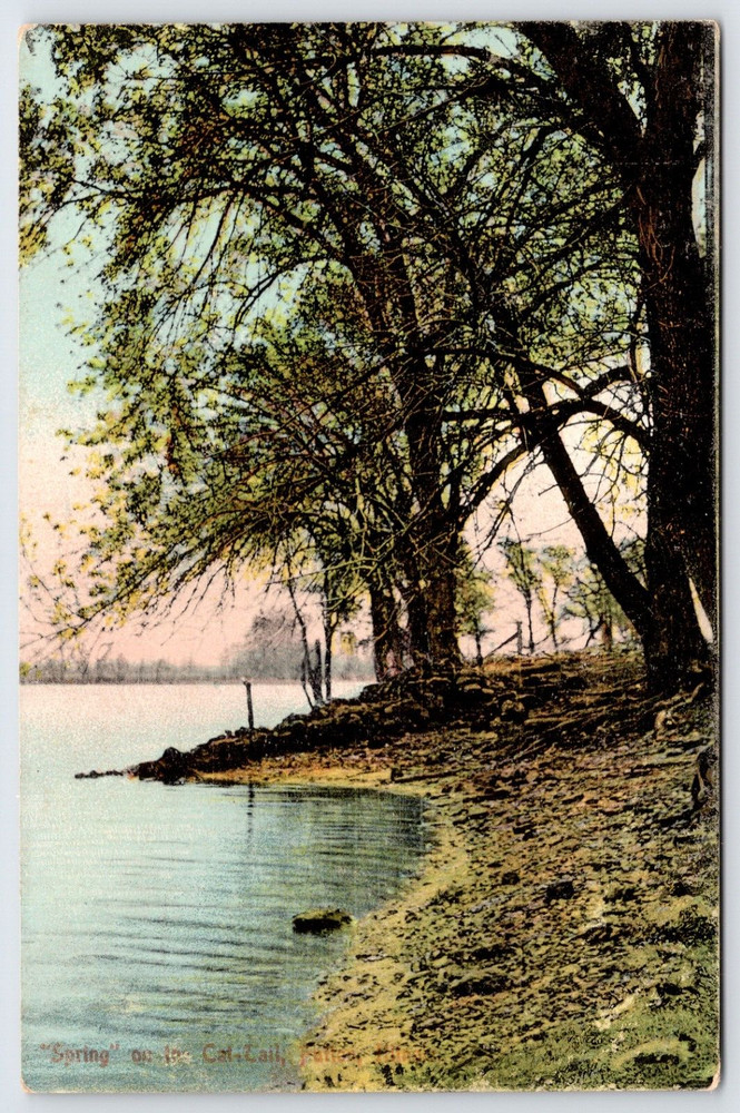 Postcard 
