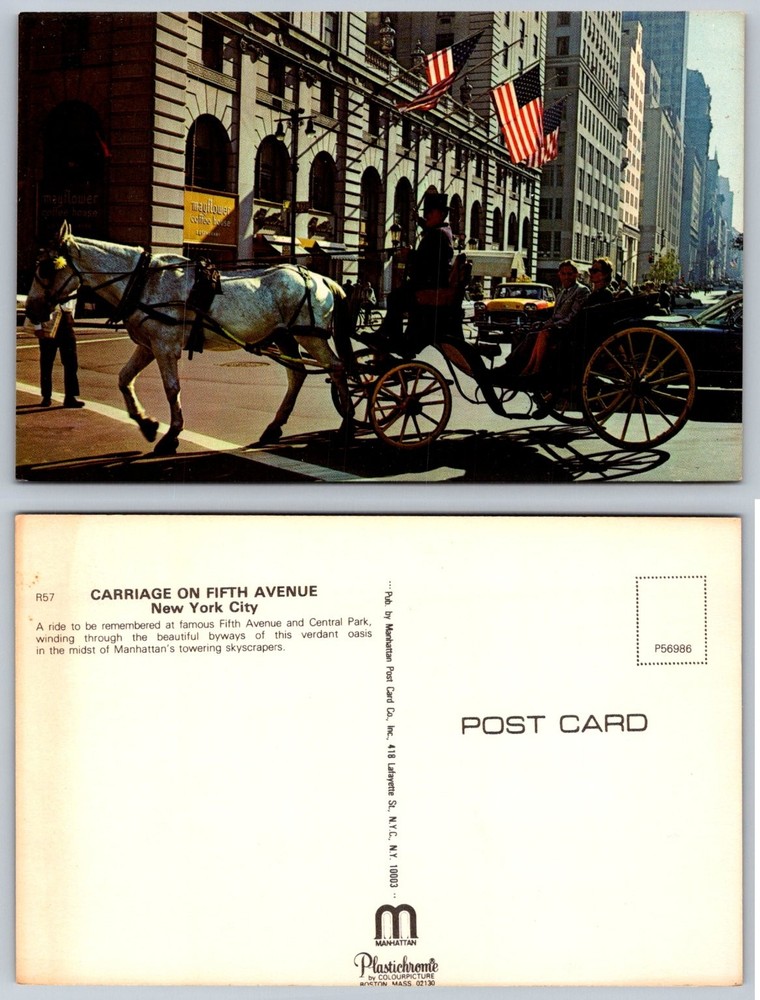 Vintage NYC Fifth Avenue Horse Carriage Plastichrome Postcard New York City