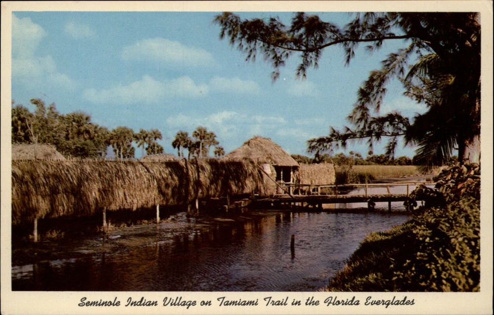 Hollywood Florida Seminole Indian Village on Tamiami Trail vintage postcard